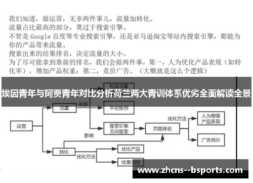 埃因青年与阿贾青年对比分析荷兰两大青训体系优劣全面解读全景