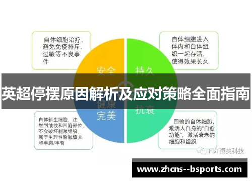 英超停摆原因解析及应对策略全面指南