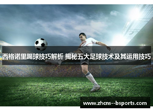 西格诺里踢球技巧解析 揭秘五大足球技术及其运用技巧